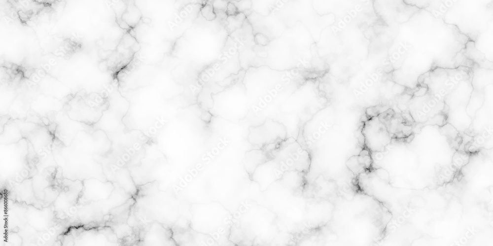 White natural Stone ceramic art wall interiors backdrop design. Marble with high resolution. Modern White and black marble texture for wall and floor tile wallpaper luxurious background.
White natural Stone ceramic art wall interiors backdrop design. Marble with high resolution. Modern White and black marble texture for wall and floor tile wallpaper luxurious background.