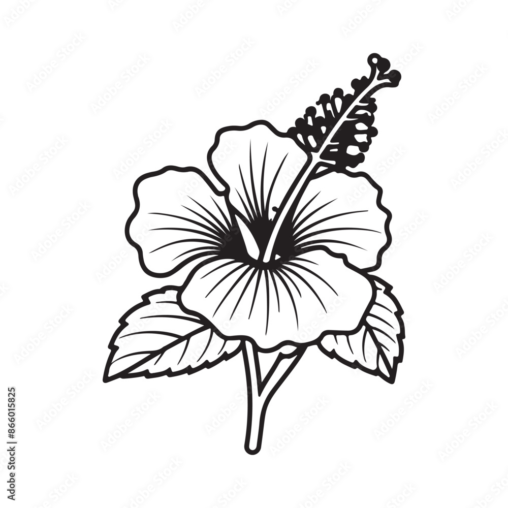 Fototapeta premium Graceful Hibiscus Flower With Leaf Art