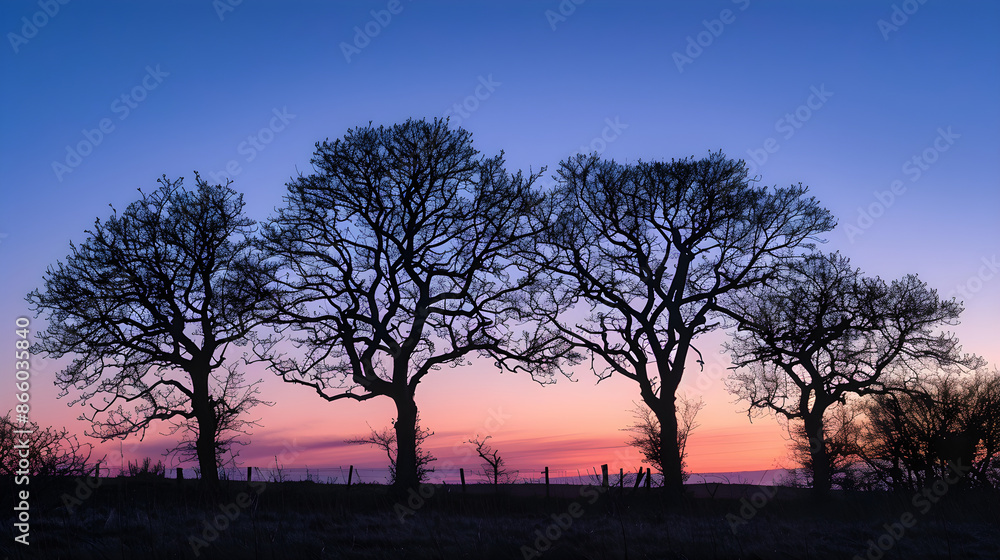 Twilight Silhouettes: Nature's Tree Patterns Against a Serene Evening Sky Twilight Silhouettes: Nature's Tree Patterns Against a Serene Evening Sky
