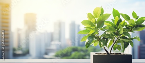 New and flourishing greener...