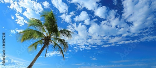 Tropical beach scene with a...