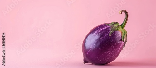 a fresh violet brinjal vegi...
