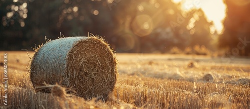Cylindrical hay bale with s...