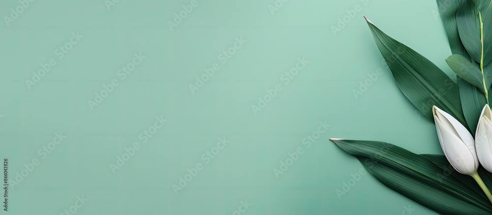 Obraz premium A green background showcasing rabbit ears in the upper left corner with copy space, creating a minimal Easter flat lay composition.