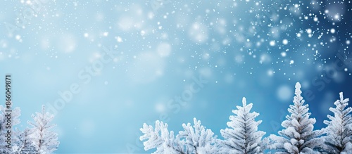 Winter-themed Christmas fir...