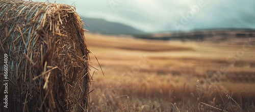 Cylindrical hay bale with s...