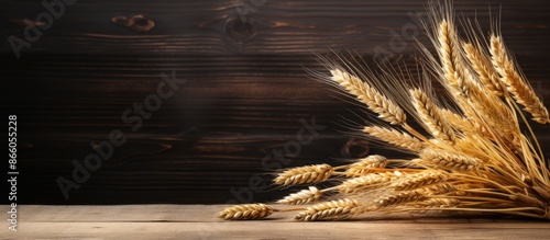 Wheat ears displayed on a t...