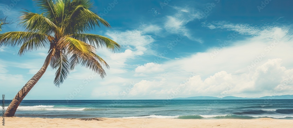 Tropical beach scene with a palm tree under a blue sky and white clouds is a vintage-style image with space for text suggesting the theme of summer holidays and travel. with copy space image Tropical beach scene with a palm tree under a blue sky and white clouds is a vintage-style image with space for text suggesting the theme of summer holidays and travel. with copy space image
