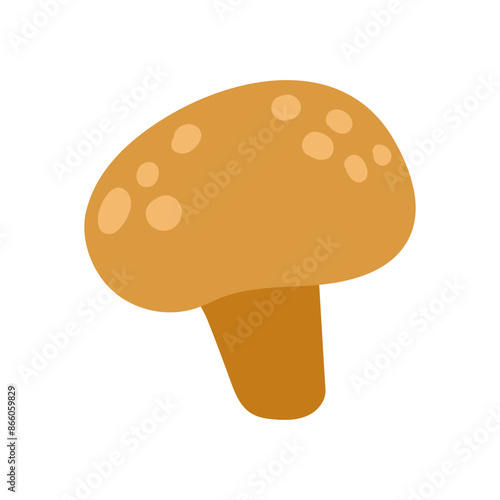 mushroom isolated on white