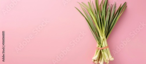 Fresh Lemongrass Isolated o...