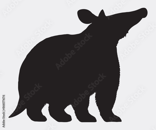 Aardvark Silhouette, illustration and vector