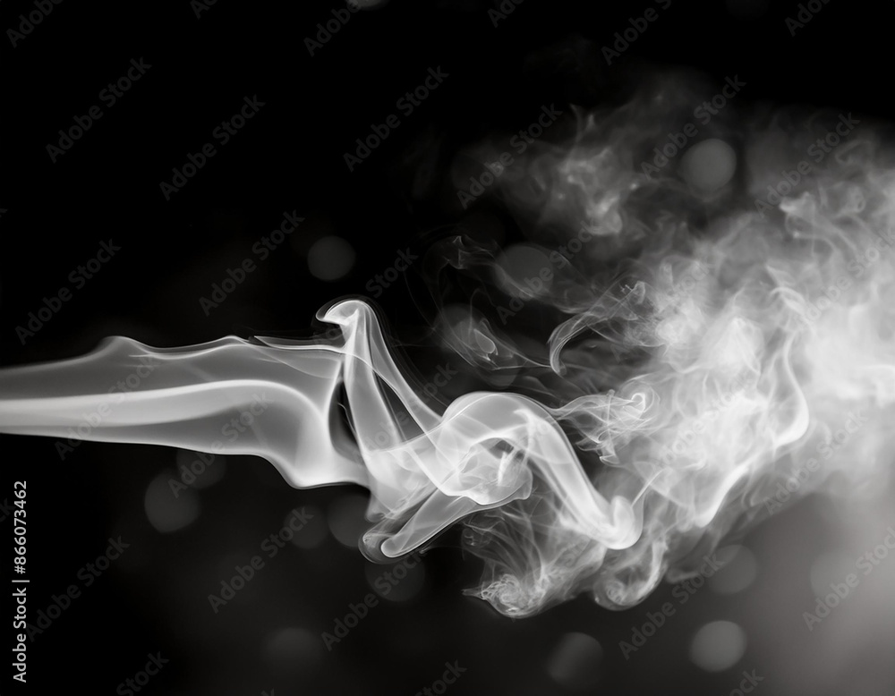 Fototapeta premium smoke effect on black background