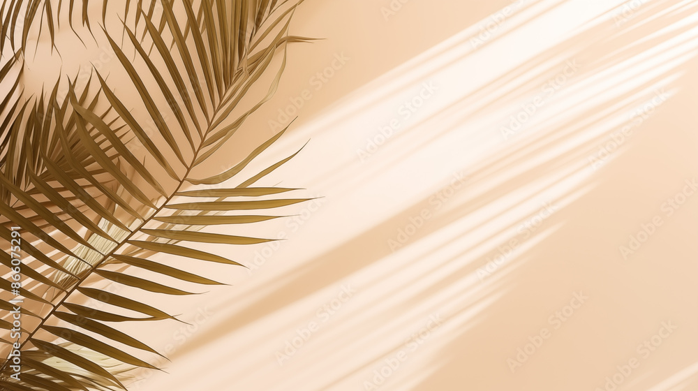 Fototapeta premium palm leaves on light cream wall, minimalistic summer background, tropical leaves wallpaper