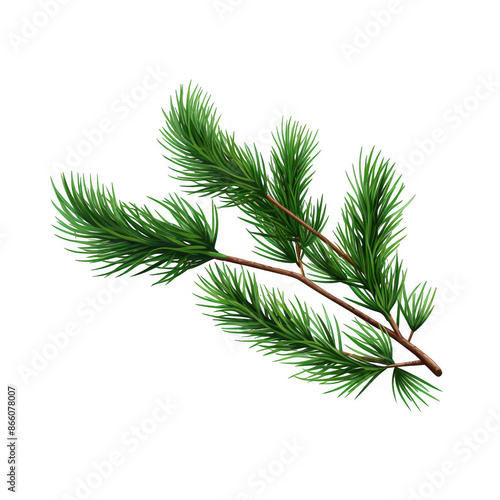 Realistic Pine Branches
