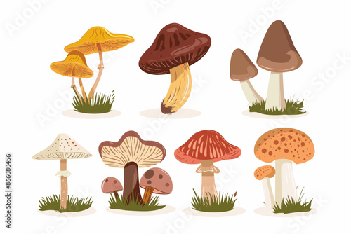 Set with edible and poisonous mushrooms, chanterelles, champignons, porcini mushroom, fly agarics and toadstools, cartoon style. Vector illustration isolated on white, hand drawn, flat design