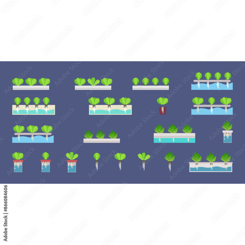 Obraz premium Hydrophonics Plant Illustration