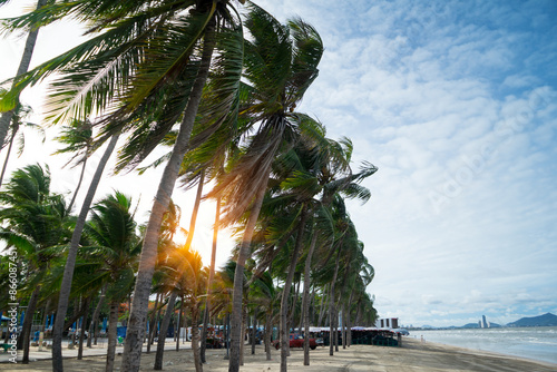 Row of coconut palm trees and blue sky , sunlight background with hotel on the beach with tourist to walk on holiday at Bangsan beach, Thailand. photo