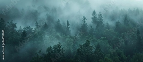 Dark fog blankets a natural forest park creating a mysterious backdrop with ample copy space image. © HN Works