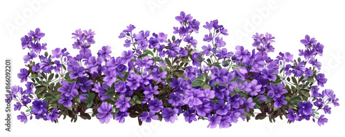 Dense Cluster of Purple Flowers