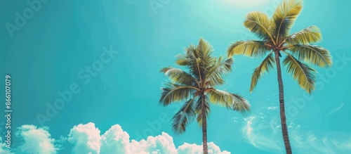 Background of blue sky with three palm trees and empty space on the edges.