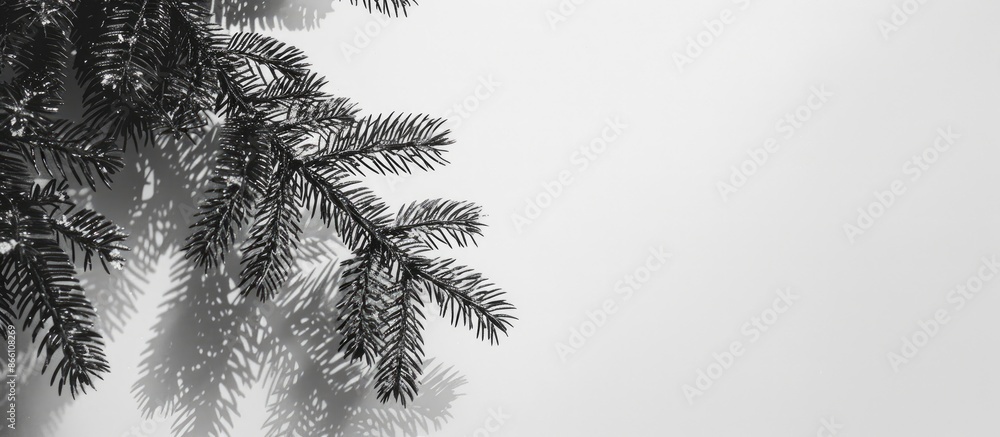 Naklejka premium Blurred shadow of a Christmas tree branch against a white-gray backdrop, ideal for a copy space image.