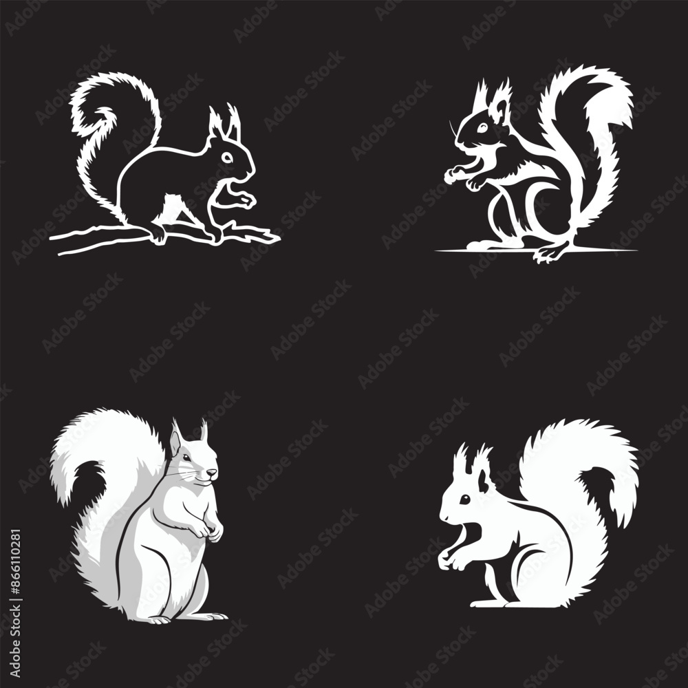 Squirrel vector art illustration Squirrel vector art illustration