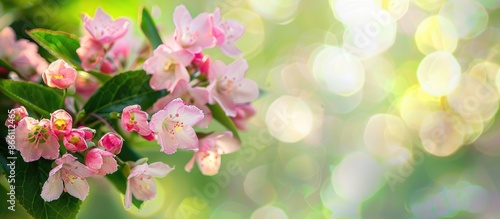 Close-up pink Weigela hybrida Rosea flowers on a blurred green backdrop with a selective focus, ideal for nature-themed designs with copy space image.