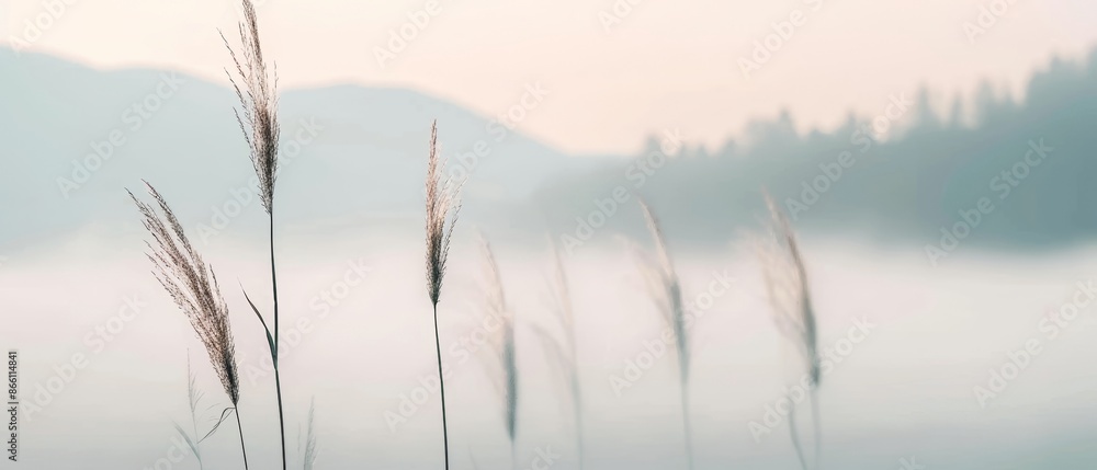 Foggy meadow at dawn, grass silhouettes, mystical mist, forest and mountains in the distance, atmosphere of peace and abundance Foggy meadow at dawn, grass silhouettes, mystical mist, forest and mountains in the distance, atmosphere of peace and abundance