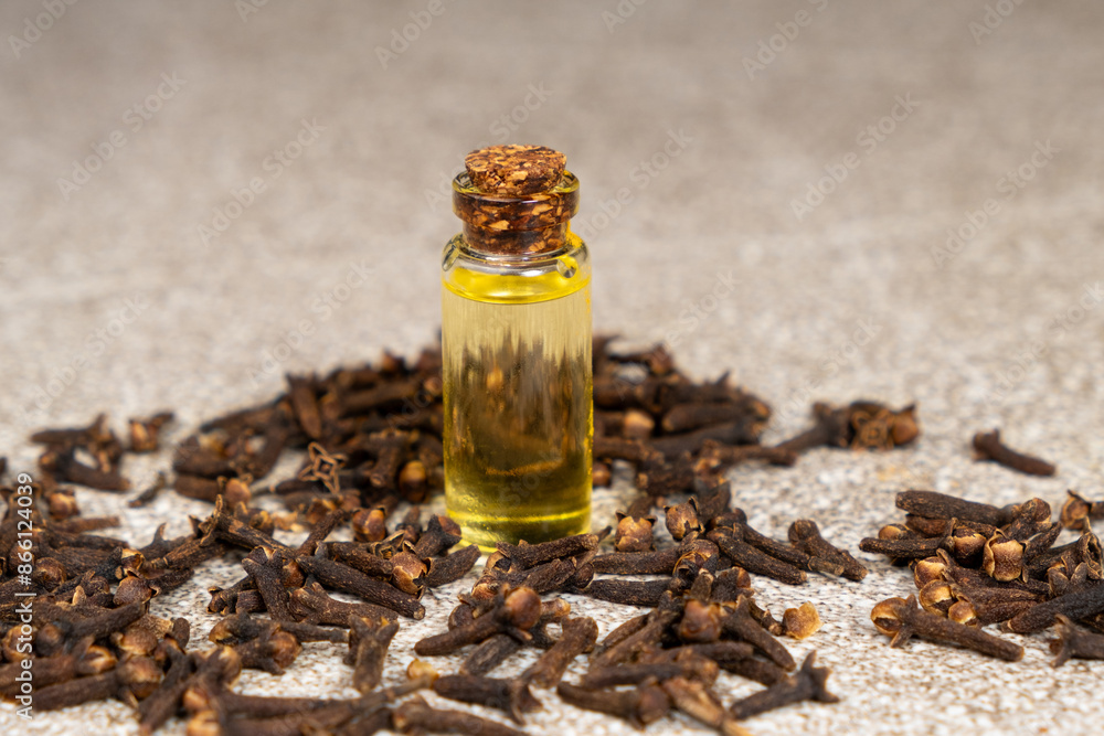 Natural clove oil in glass bottle among dried cloves Natural clove oil in glass bottle among dried cloves