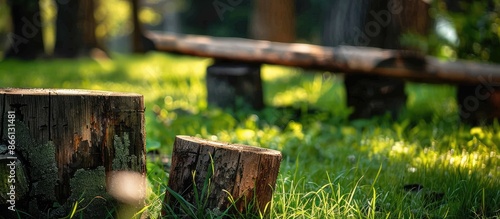 Close-up of wooden logs with one in the grass, accompanied by a wooden table and bench in a forest setting, with wood featured as background and texture in the copy space image.