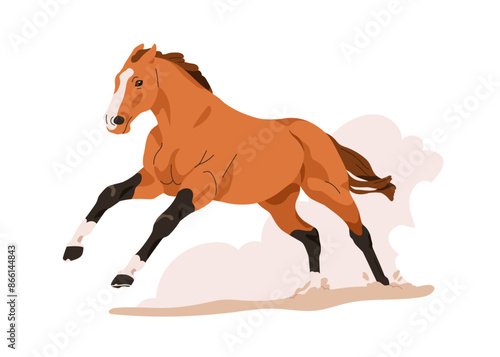 Horse running, racing. Stallion in action. Mustang galloping at fast speed with sand dust clouds from earth, ground. Wild bay animal. Flat graphic vector illustration isolated on white background