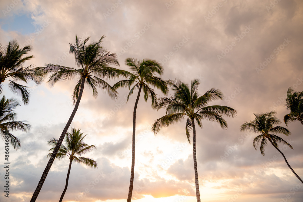 Obraz premium Tropical Landscape Photos on Maui, Hawaii