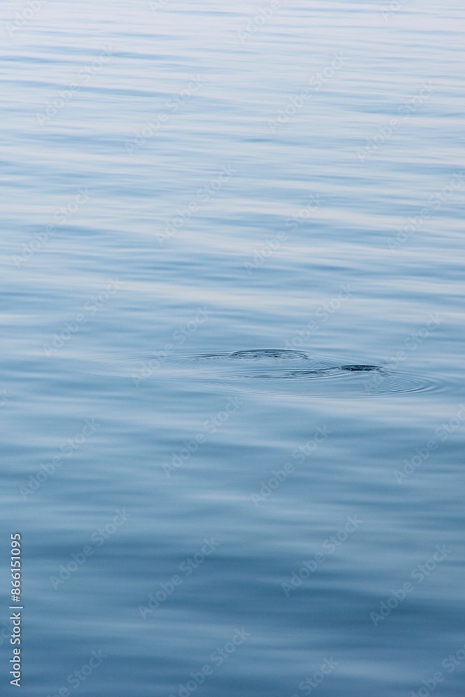 blue waves background blue waves background