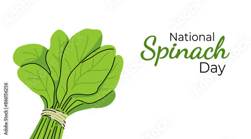Flat style spinach leaves isolated on a white background, bunch of greens as a banner, poster or template, national spinach day, fresh spinach day.