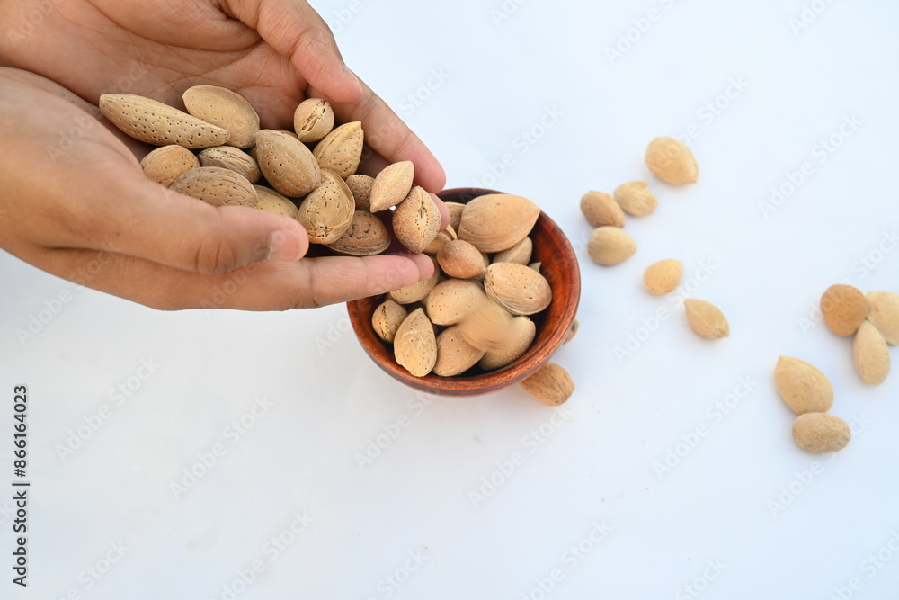 Almond with shell. It's other name Prunus amygdalus and Prunus dulcis. The almond is also the name of the edible and widely cultivated seed of this tree. indian almond. Almond with shell. It's other name Prunus amygdalus and Prunus dulcis. The almond is also the name of the edible and widely cultivated seed of this tree. indian almond.