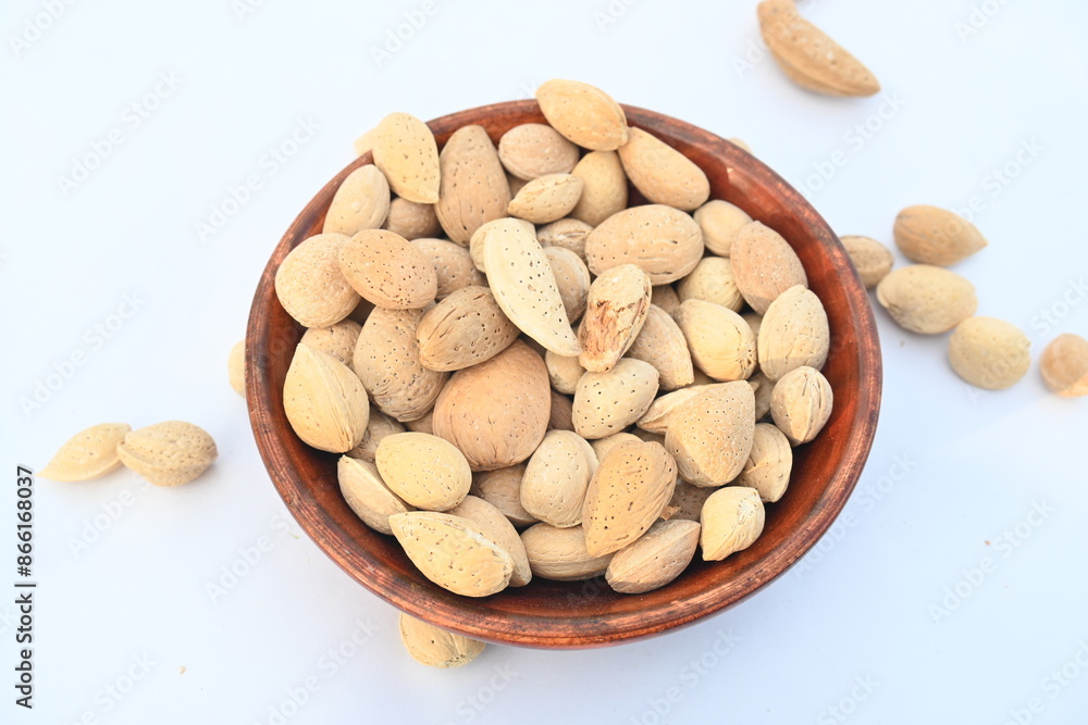 Almond with shell. It's other name Prunus amygdalus and Prunus dulcis. The almond is also the name of the edible and widely cultivated seed of this tree. indian almond. Almond with shell. It's other name Prunus amygdalus and Prunus dulcis. The almond is also the name of the edible and widely cultivated seed of this tree. indian almond.