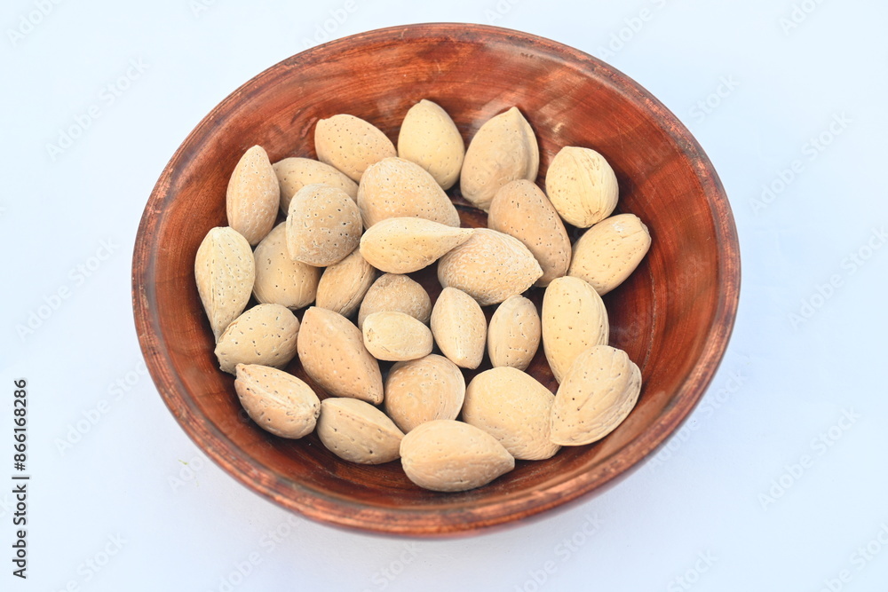 Almond with shell. It's other name Prunus amygdalus and Prunus dulcis. The almond is also the name of the edible and widely cultivated seed of this tree. indian almond. Almond with shell. It's other name Prunus amygdalus and Prunus dulcis. The almond is also the name of the edible and widely cultivated seed of this tree. indian almond.
