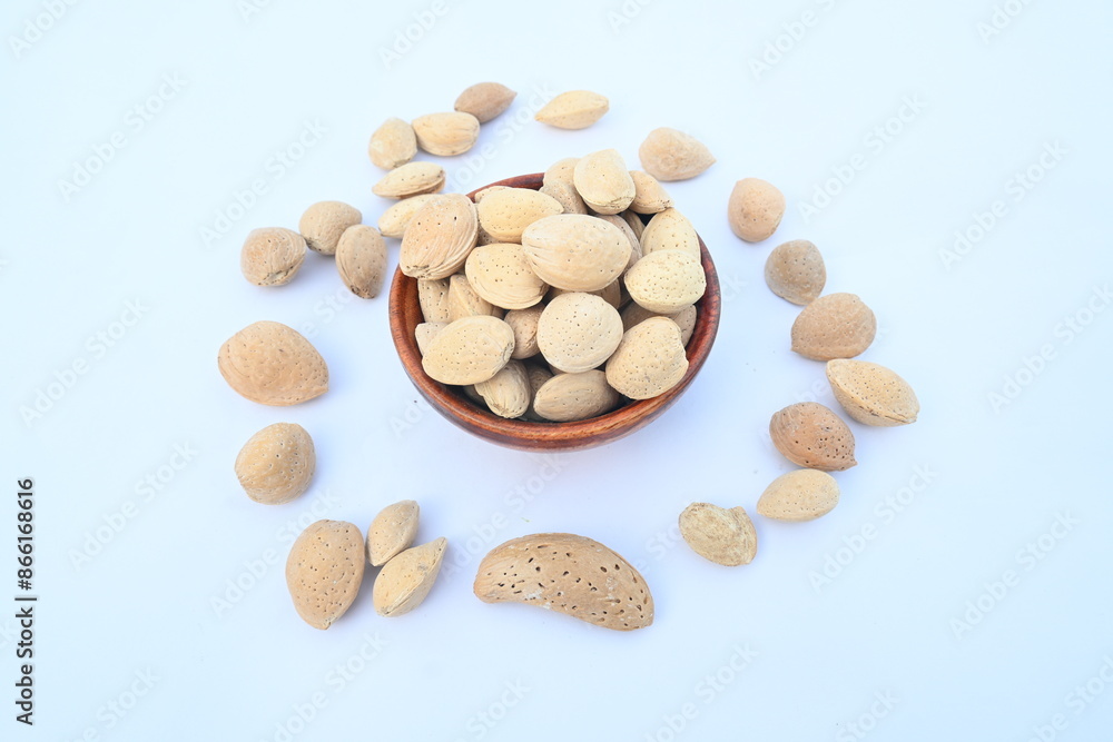 Almond with shell. It's other name Prunus amygdalus and Prunus dulcis. The almond is also the name of the edible and widely cultivated seed of this tree. indian almond. Almond with shell. It's other name Prunus amygdalus and Prunus dulcis. The almond is also the name of the edible and widely cultivated seed of this tree. indian almond.