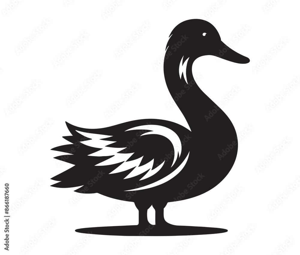 Duck isolated on white Duck isolated on white
