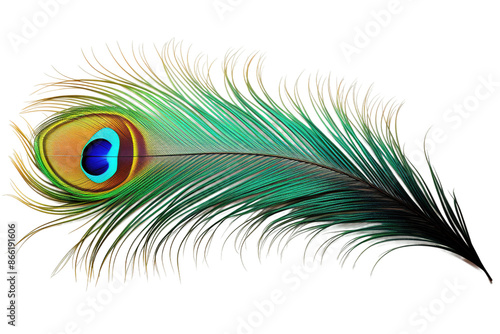 Ethereal Elegance: A Majestic Peacock Feather Unveiled on White or PNG Transparent Background.