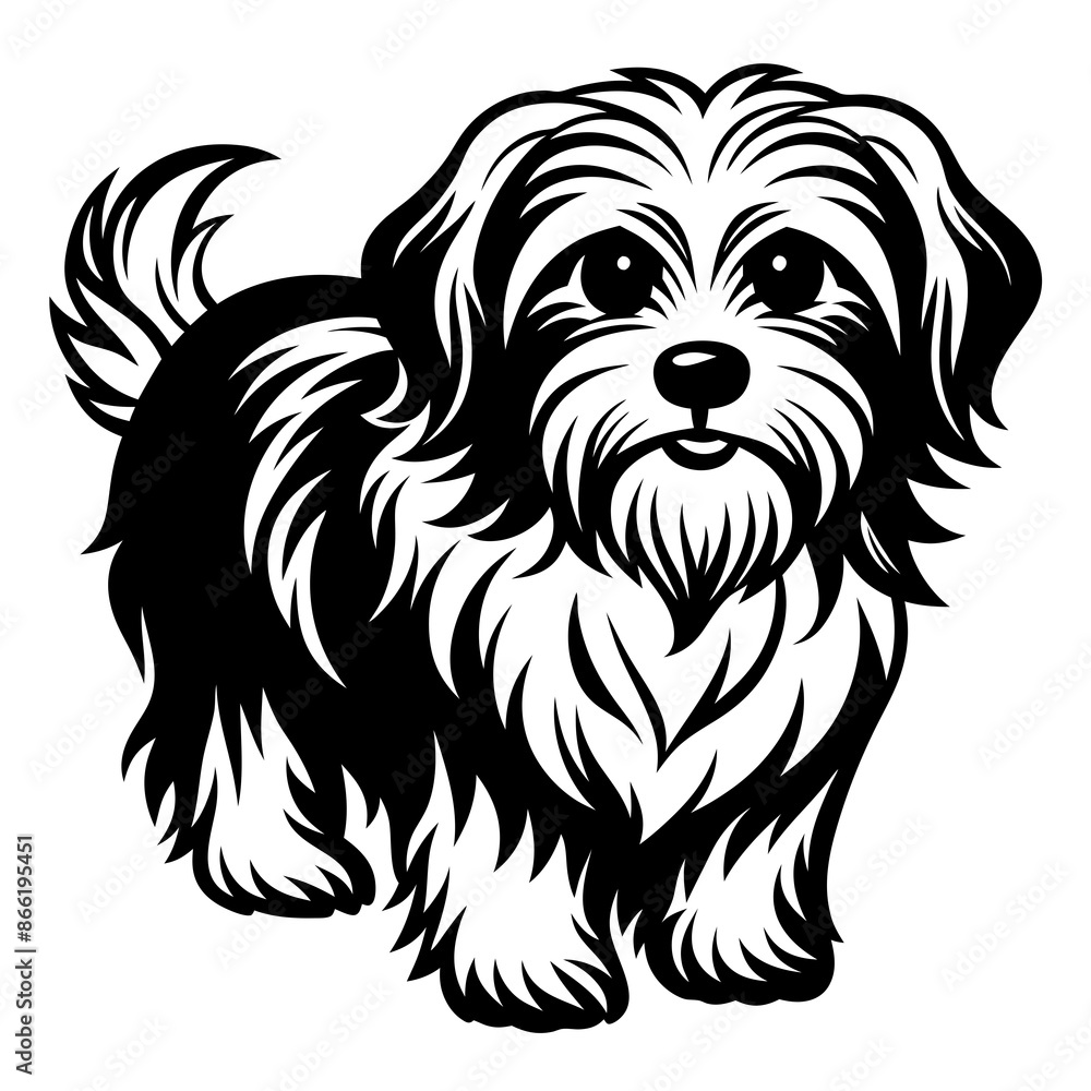 Maltese dog silhouette Vector and illustration isolated on white, design for laser cutting wall art and POD. Maltese dog silhouette Vector and illustration isolated on white, design for laser cutting wall art and POD.