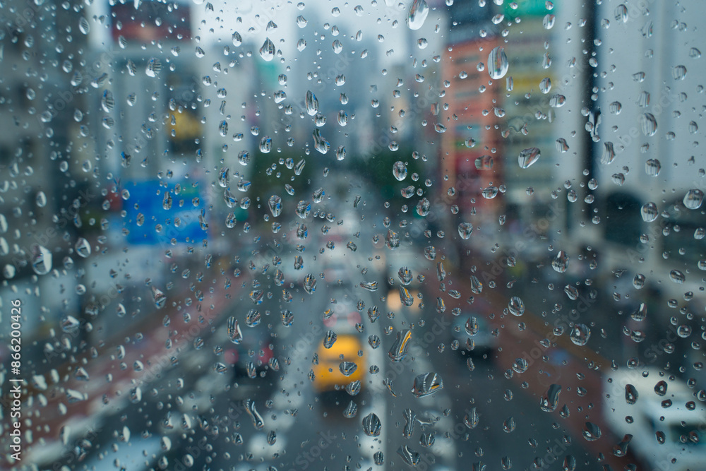 雨の新宿 雨の新宿