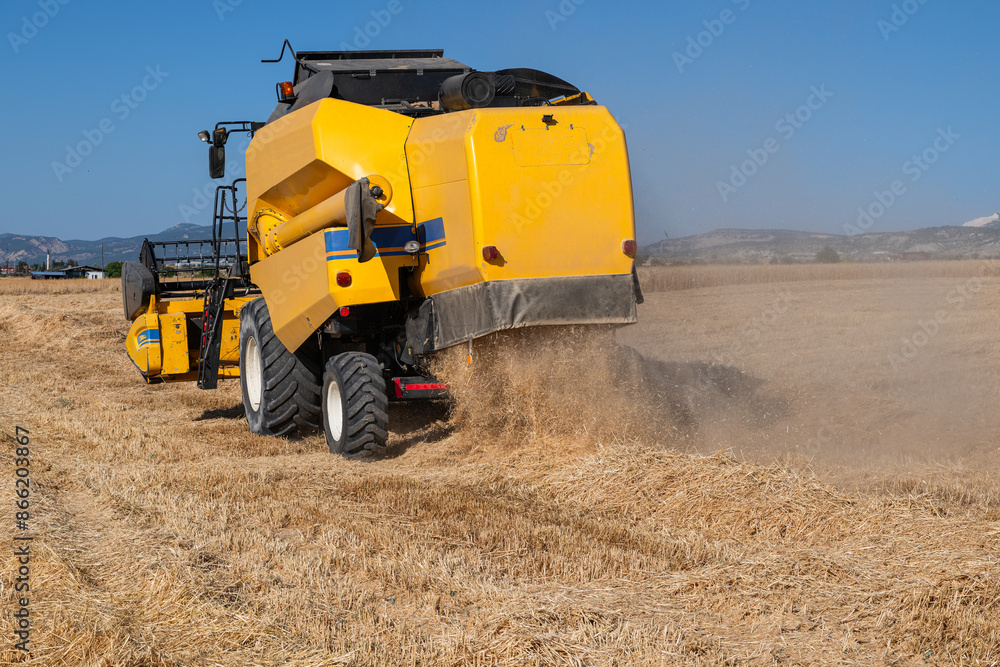 Obraz premium The combine harvester is harvesting in the wheat field, the combine harvester is working in the agricultural field, it is harvest season.