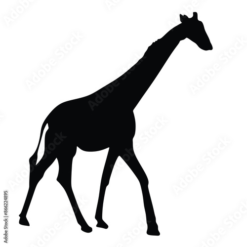 Canvas Print giraffes.