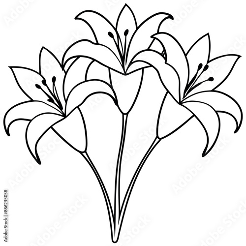 Coloring pages of a black outline of lilies and a branch with flowers and buds