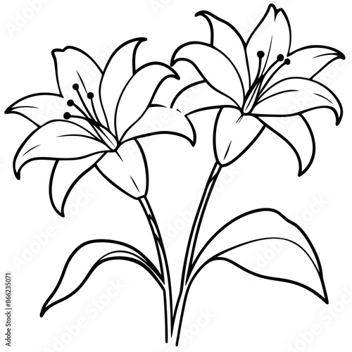 Coloring pages of a black outline of lilies and a branch with flowers and buds