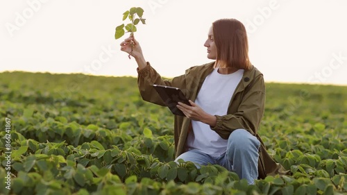 Smart farming soybean technology. Smiling female farmer with digital tablet uses for examine and check soya plants in field. Modern agribusiness of control of growth and development of sprouts.