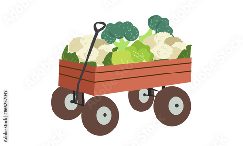 Vegetables in wheelbarrow vector healthy nutrition of vegetable tomato pepper and carrot in wheel barrow for vegetarians eating farming food illustration vegetated set isolated on white background photo