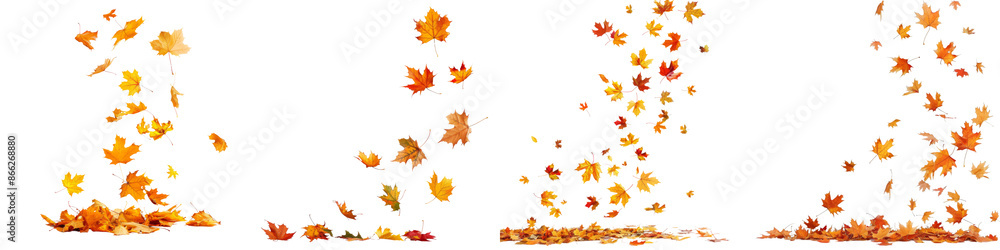 Collection of falling isolated autumns colored maple leaves isolated on transparent or white background Collection of falling isolated autumns colored maple leaves isolated on transparent or white background