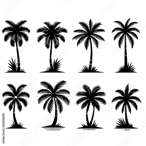 palm tree set vector illustration isolated © Alienalgorithm